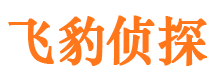 桃山市私人侦探